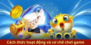 Cách Chơi Bắn Cá Royal Fishing Tại ABC8 Chi Tiết Thu Hút 1 Cách Chơi Bắn Cá Royal Fishing Tại ABC8 Chi Tiết Thu Hút