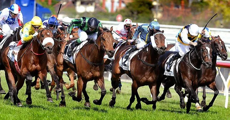 Tìm Hiểu Cá Cược Đua Ngựa ABC8 Với Luật Chơi Và Kinh Nghiệm